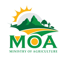 bd job post, bd job circular, bangladesh job news, today job circular, bd govt jobs, bd private jobs, bd job today, job circular 2025, bdjobpost government job circular bd, bd govt job circular, govt job news today bd, new govt job circular, sorkari chakri circular private job circular bd, company job circular bd, ngo job circular bd, bank job circular bd, new private job circular